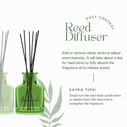 Bundle Set X4 50ml Reed Diffuser Home Essential Gift Set